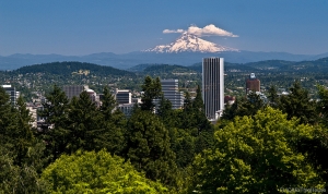 Buying a House in a Different State