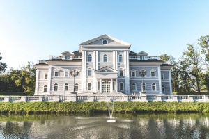 Navigating the Intricacies of Million Pound Mortgages: A Definitive Guide
