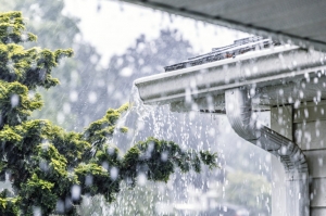 Keeping Basements Dry and Homes Beautiful
