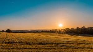 What to Know Before You Buy Land