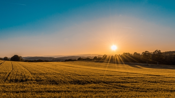 What to Know Before You Buy Land
