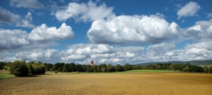 Maximizing Land Investment: Essential Tips for New Buyers