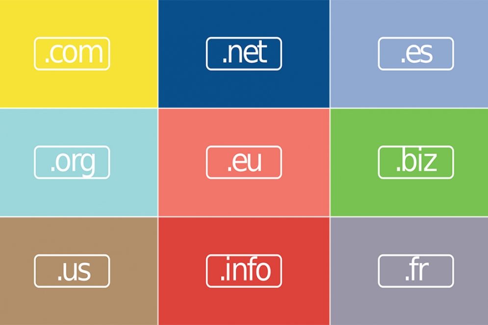A Brief History of “Domain Names” as the Evolution and Acceptance of “Not Coms” Continues