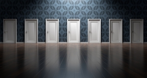 What Are the Best Doors for Interiors?