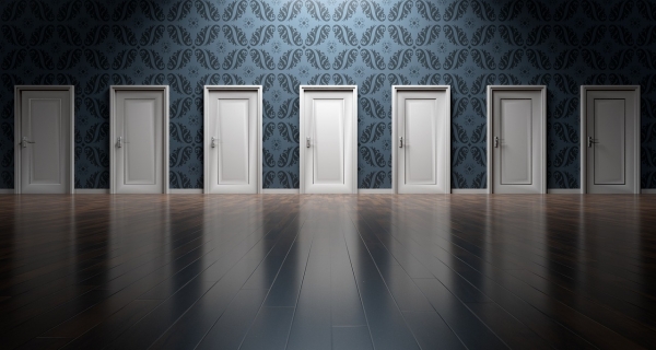 What Are the Best Doors for Interiors?