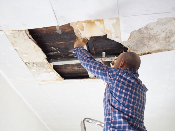 Water damage companies in Pittsburgh, PA