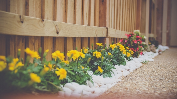 HOA Plantasy