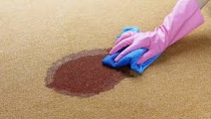 How to Sanitize Blood Spills?