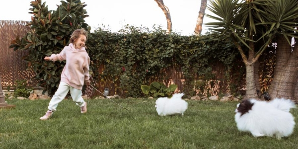 How to Make Your Yard Safe for Pets