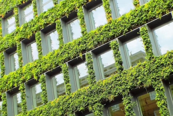 Everything About Vertical Gardens