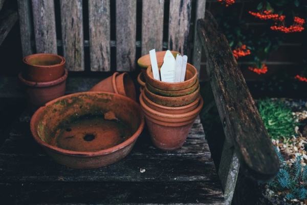 What to Keep in Mind When Choosing Tools for Your Garden