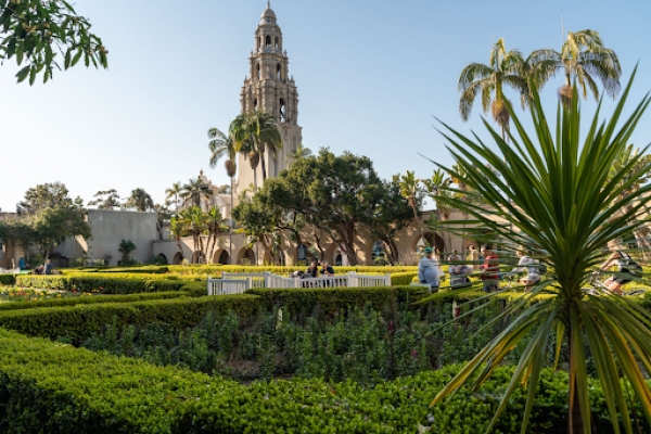 5 Reasons Why San Diego is the Perfect City for Young Families to Live