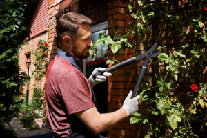 Professional Garden Aftercare: Keeping Your Garden Thriving Year-Round