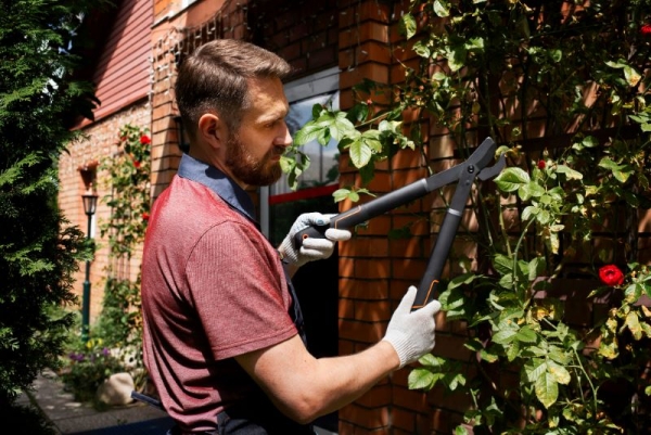 Professional Garden Aftercare: Keeping Your Garden Thriving Year-Round