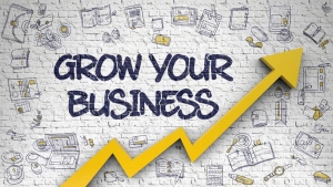 Maximizing the Marketing Potential of Your Business