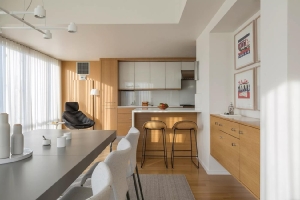 Calming Modern Elegance: A Look Inside Boston's Premier Penthouse by Sleeping Dog Properties