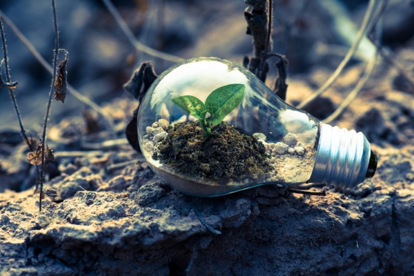 Energy Efficiency In Your HOA