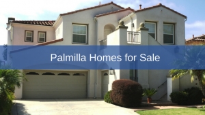 Palmilla Homes for Sale