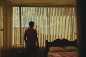 Types of Blinds For Windows