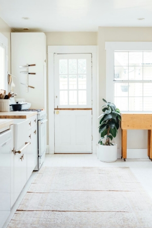 Protecting Your Home: Top 4 Signs of White Ants and How to Take Immediate Action