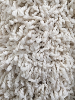 How to Whiten Carpet